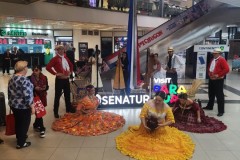 executive-transportation-fifa-congress-asuncion-7